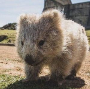 Meet your Posher, Cynthia